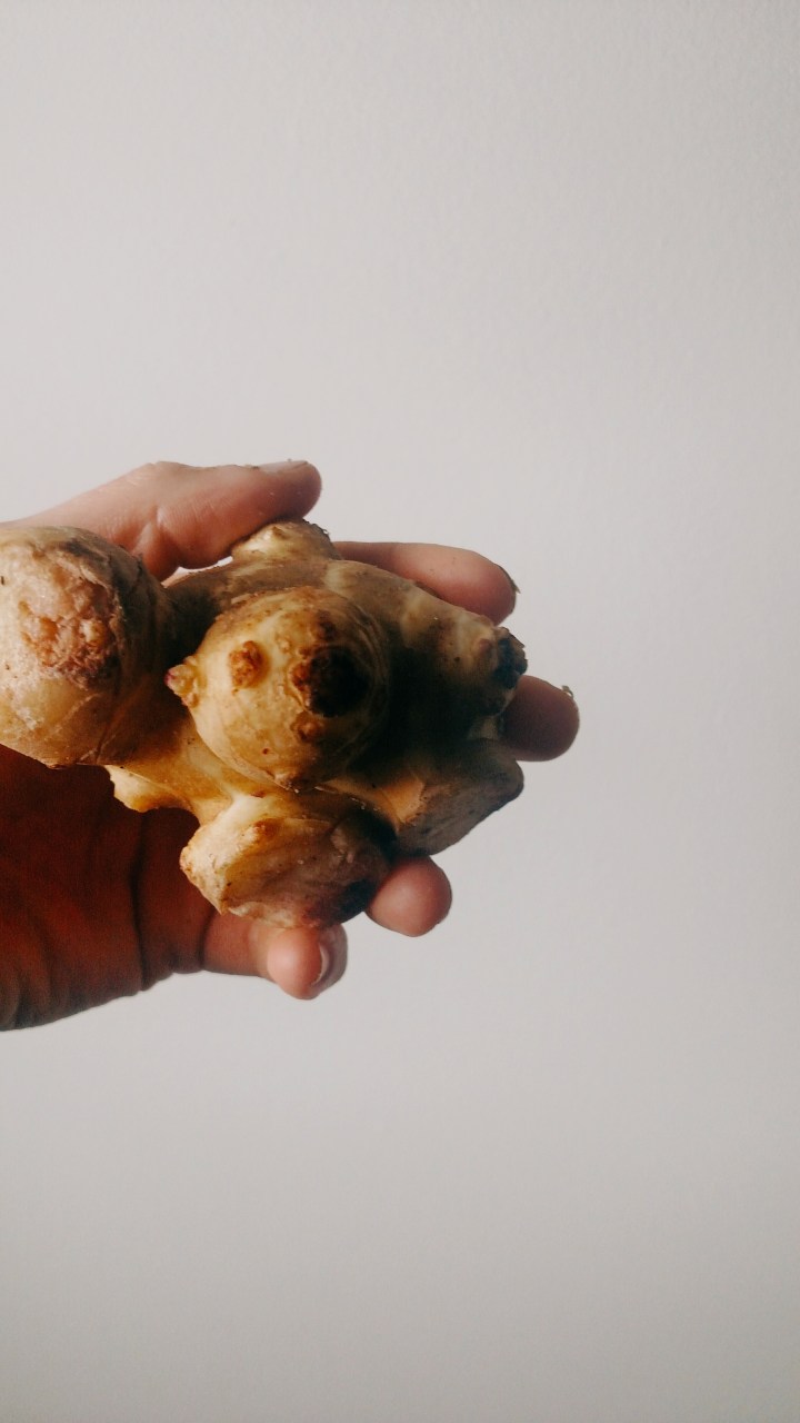 Processed with VSCO with q1 preset