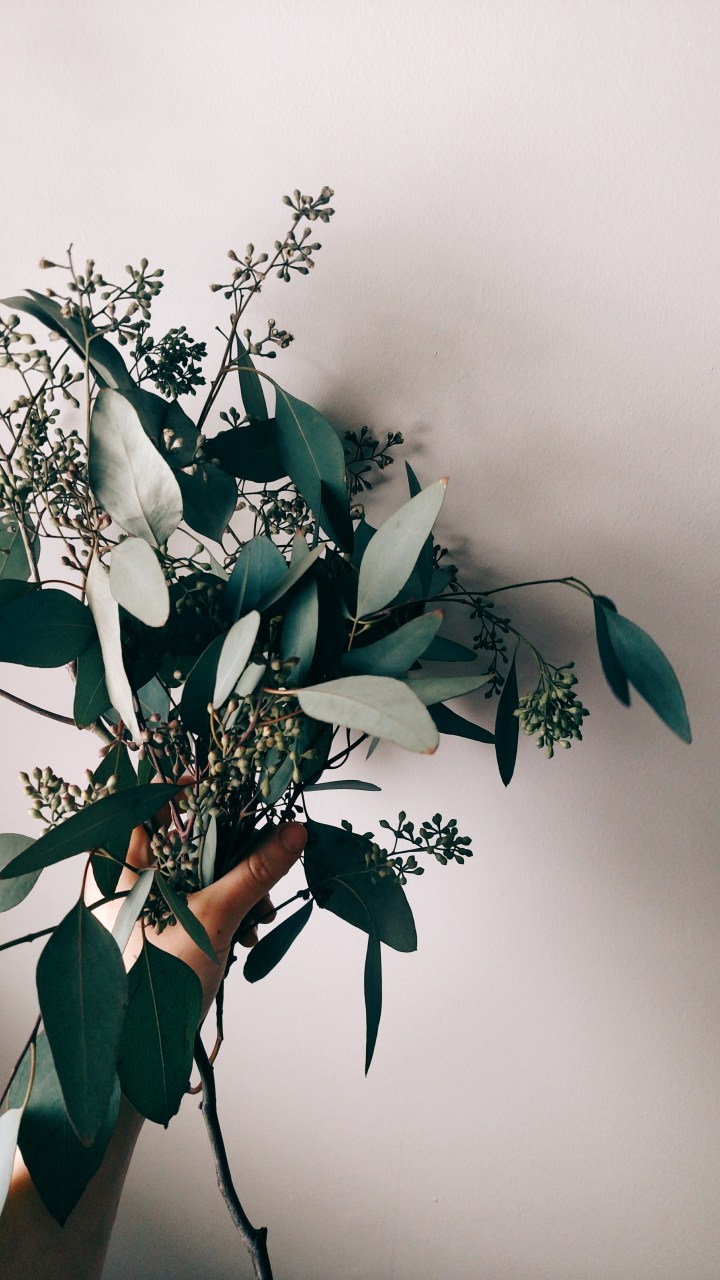 Processed with VSCO with q1 preset