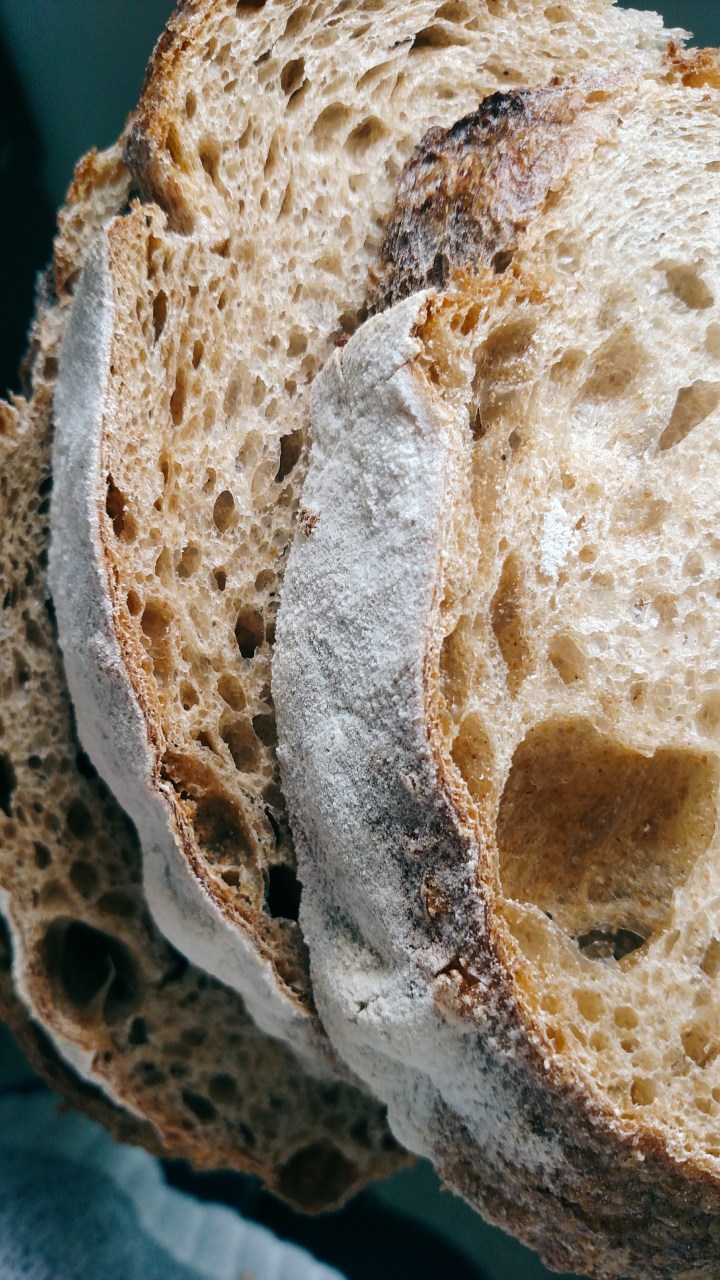 Processed with VSCO with q1 preset