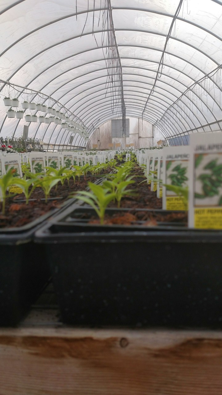 Processed with VSCO with  preset