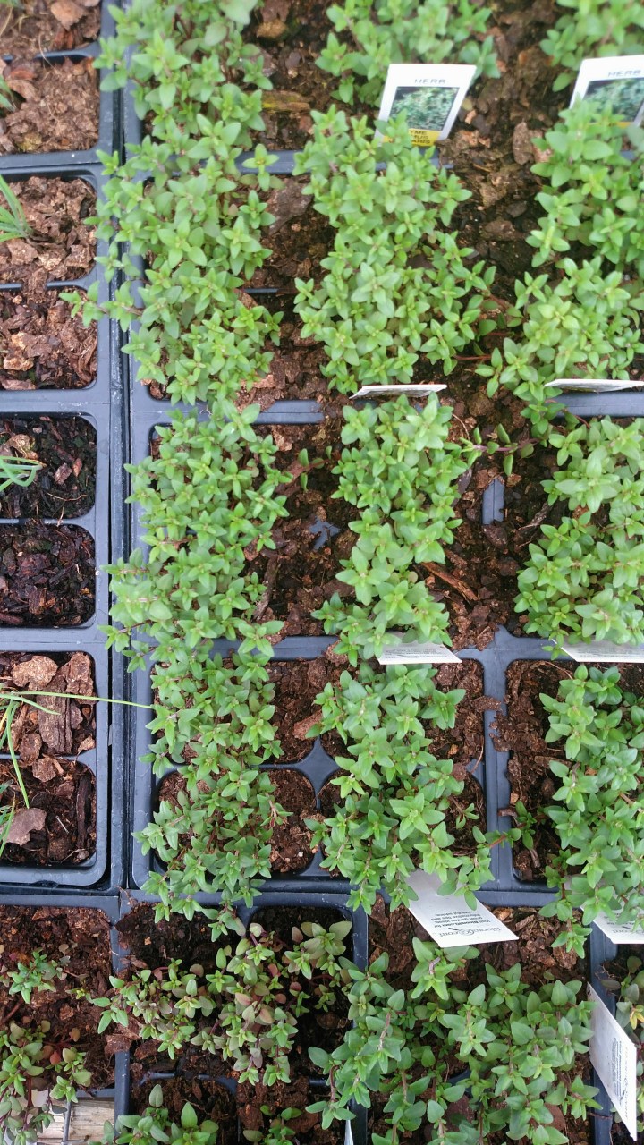 Processed with VSCO with  preset