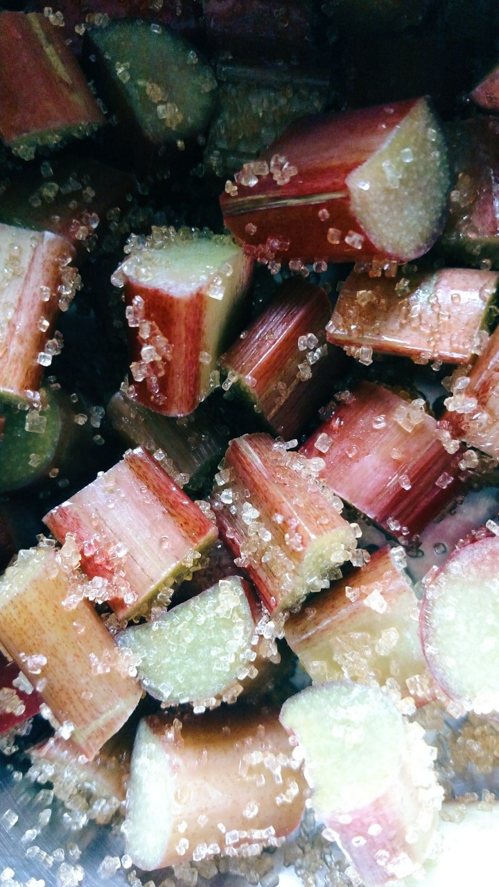 Processed with VSCO with q1 preset