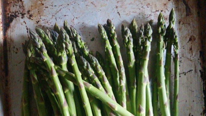 Processed with VSCO with  preset