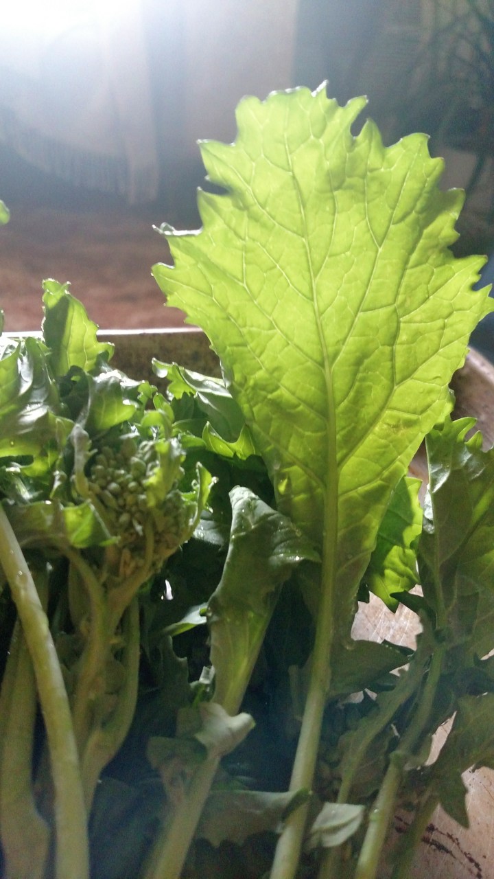 Processed with VSCO with  preset