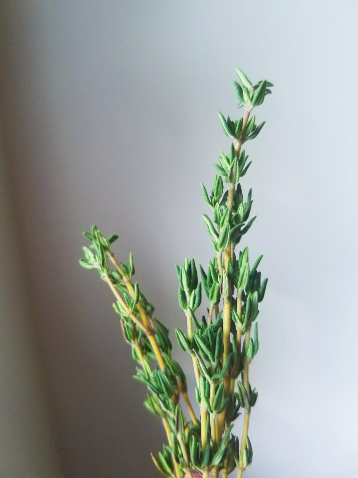 Processed with VSCO with  preset