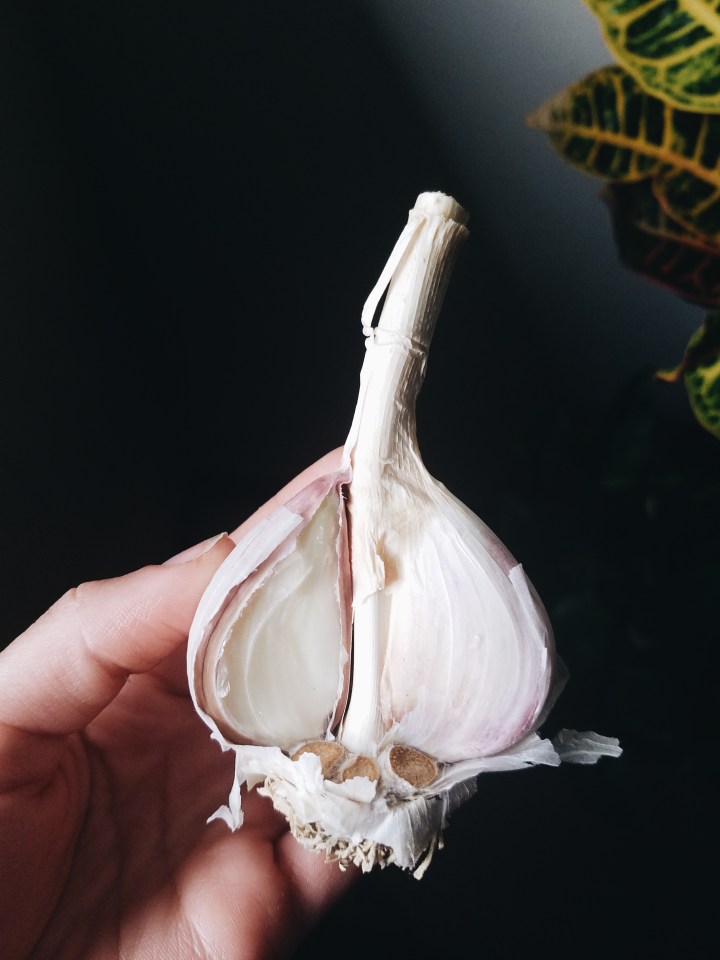 Processed with VSCO with a6 preset