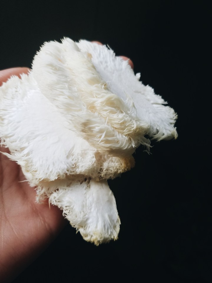 Processed with VSCO with a6 preset