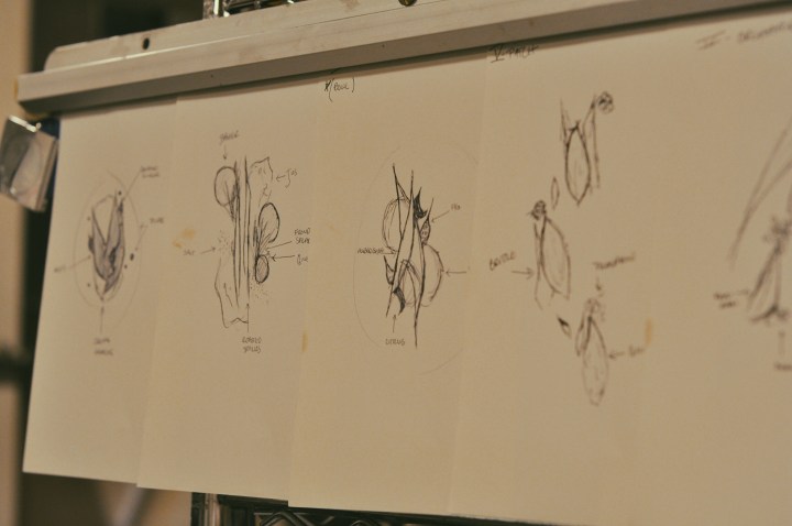 Processed with VSCO with p5 preset